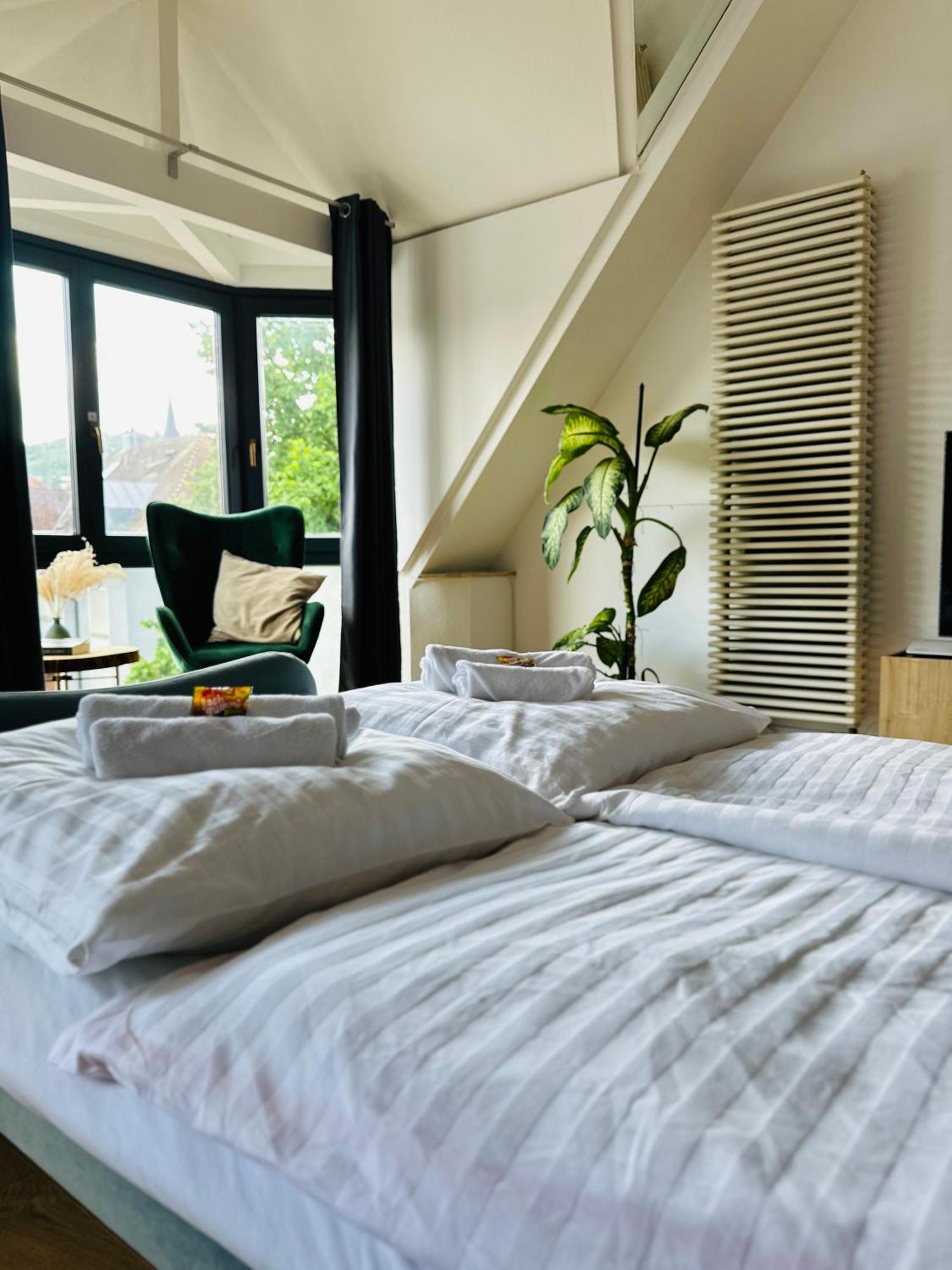 Amao-Green I 90Qm I Penthouse Maisonette Mit Rooftop I City Center I King-Size Betten 拉尔 外观 照片